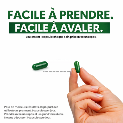 Digesto™ | Confort digestif naturel au quotidien